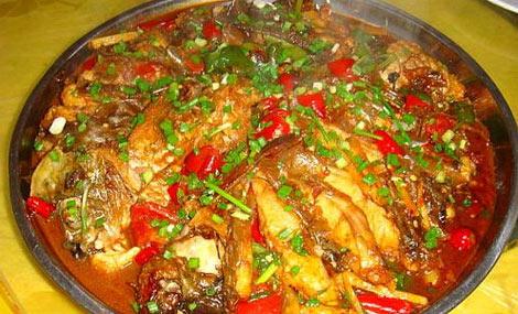 桂记漓江鱼家常菜馆地址,订餐电话,商户详情,桂林