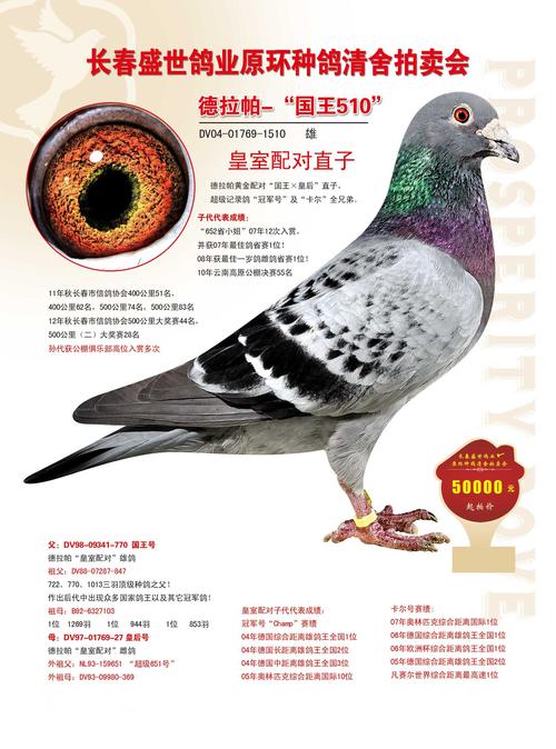 长春盛世鸽业 - 中信网铭鸽展厅 www.ag188.com