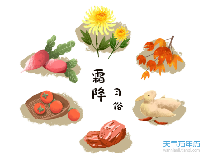 2020霜降南方吃什么传统食物 2020霜降节气吃什么食物