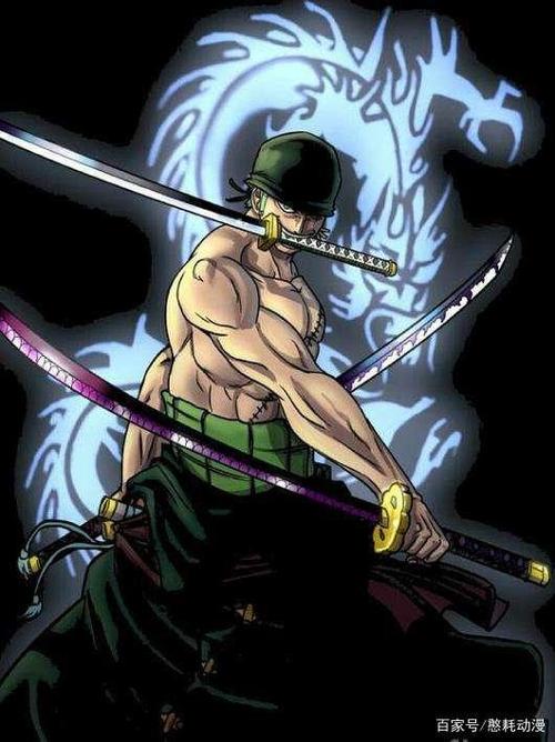 如今海贼王动漫已经到了和之国篇,相信索隆也会在这其中大放异彩.