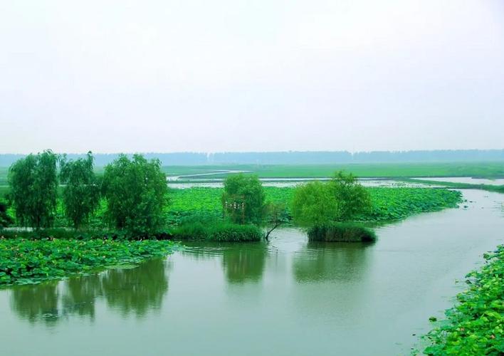 建设幸福河湖——射阳湖