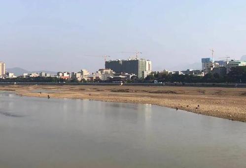 容县绣江河惊现300米菜地大妈只要心中有菜哪里都是菜地