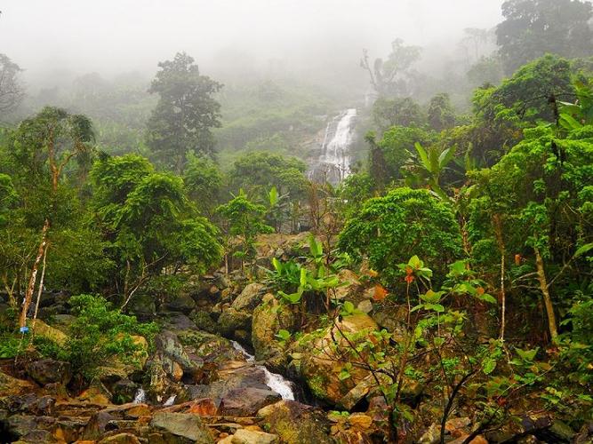 海南百花岭热带雨林文化旅游区