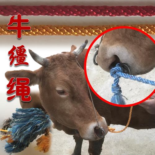 优质牛缰绳马缰绳拴牛栓牛用的拴马绳牵牛绳畜牧养殖拴系牛绳子