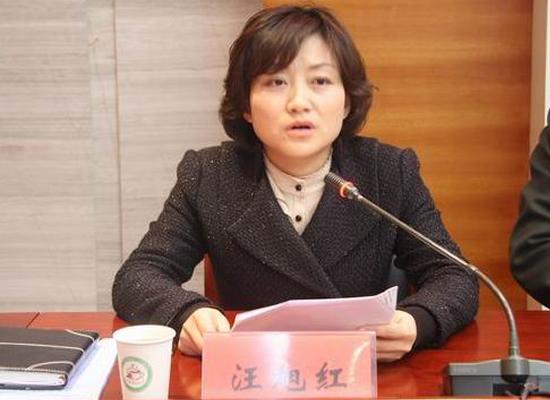 县委常委,宣传部长汪旭红通报前一阶段集中整治工作开展情况县政府副