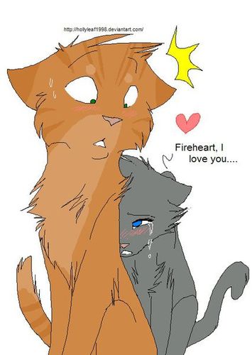 猫武士情侣头像