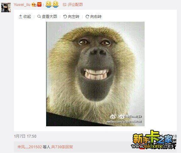 狒狒的照片毫无疑问的排名热评第一.