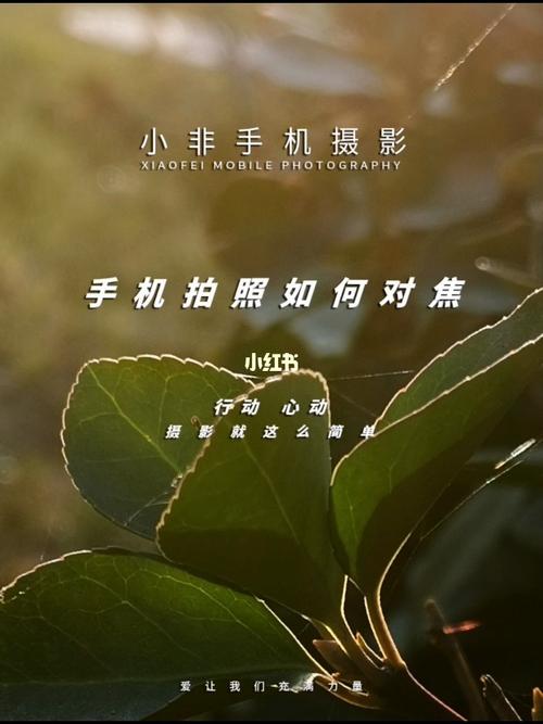 手机摄影教程,手机拍照如何对焦._教程_手机摄影_手机