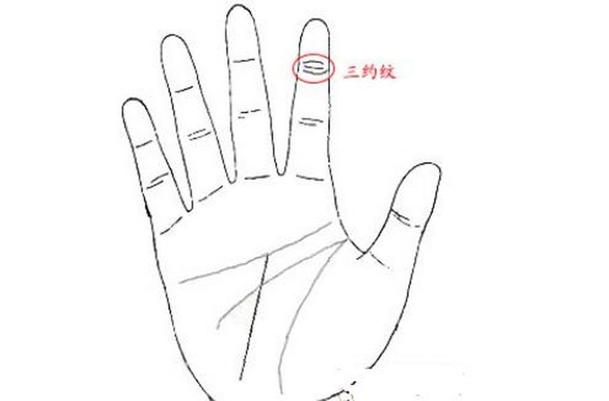三豹纹  所谓的三豹纹,就是指在食指上方有一条横财出现,一般有这样