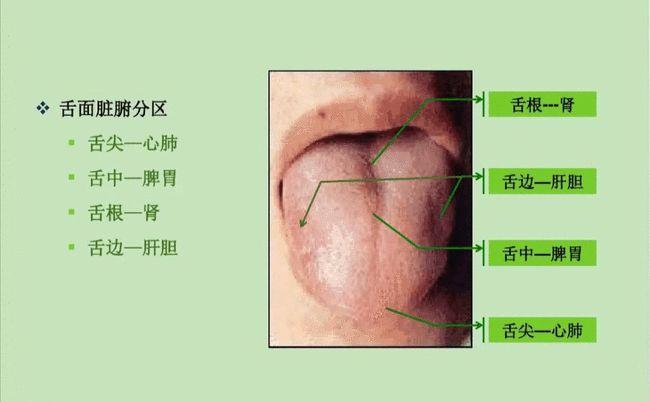 脾胃不好的人舌头上都有1个共同特征早点发现不让恶化