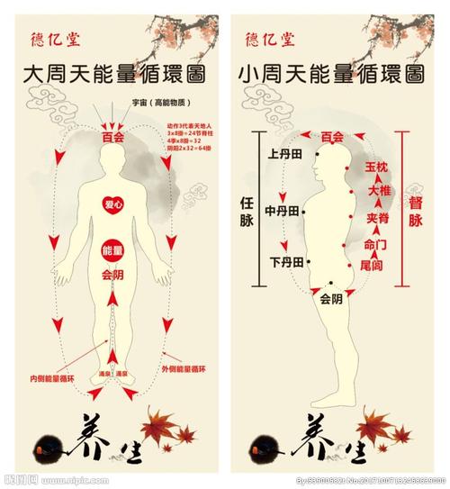 大小周天能量运行图图片