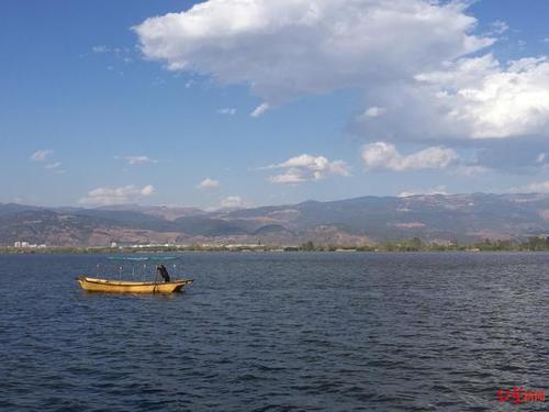 网友建议免费开放西昌邛海湿地公园 官方回复来了