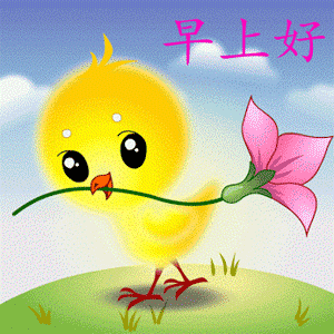 童心童趣金色童年幼儿园——苗苗班记录