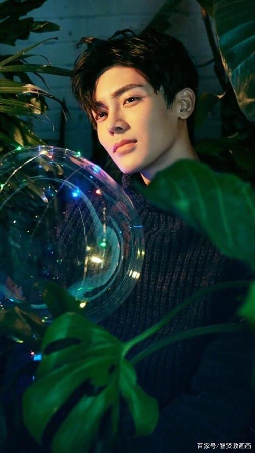 明星壁纸:侯明昊