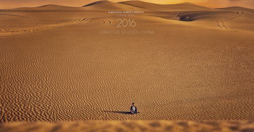 沙漠—the desert
