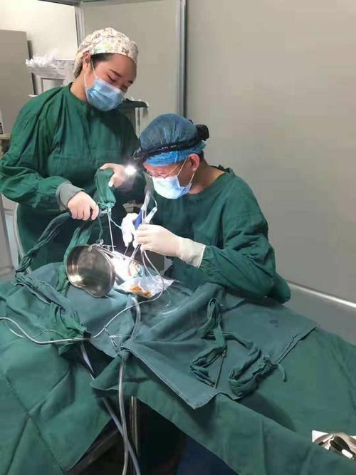 艾德科普(28):扁桃体,腺样体术后,这些事项要注意!