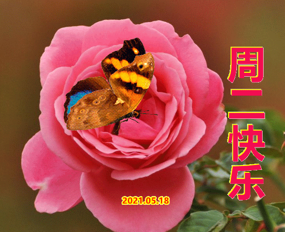 2021年5月18日星期二清晨早上好问候祝福动态表情图片