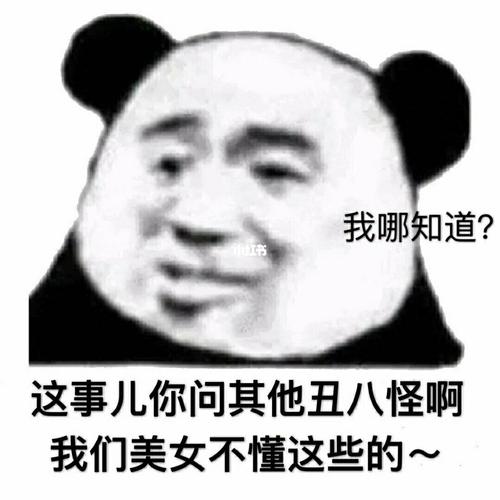 表情包之看透一切_表情包_男朋友_奶茶_外套_美女_我最爱的表情包