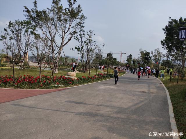银山湿地公园和东莞第一峰在同一个镇——谢岗镇,距桥头镇步行街约5