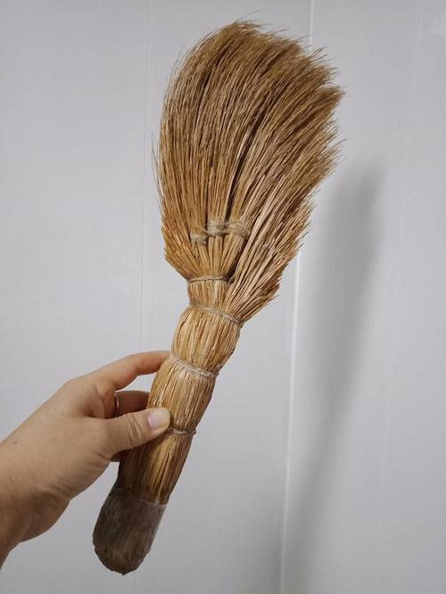 笤帚 笤帚疙瘩 笤帚疙瘩 美丽的笤帚 笤帚之伤 扎笤帚的父亲 一把