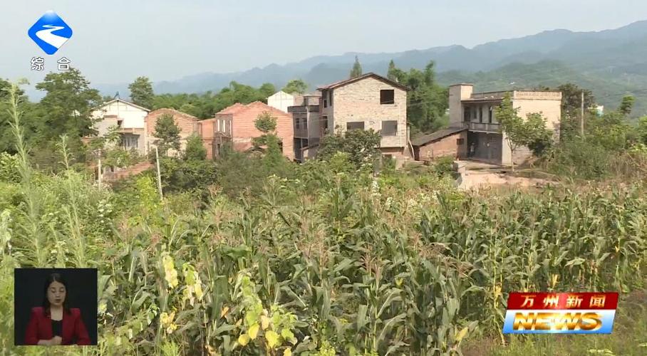 万州 熊家镇正在实施的是渝巴路东二段, 韵达物流这2个项目的征地拆迁