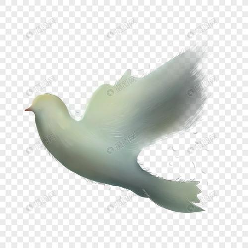 该  元素素材 标题为          鸽子,编号: 400443315,格式: psd,体积