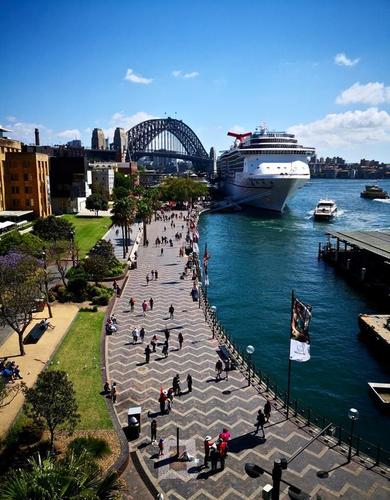 悉尼湾最繁忙的码头,环形码头蓝花楹拍摄地点揭秘