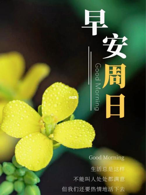 周日愉快,早安吉祥.做一个阳光的人……_语录_早安语录_素材_文字素材