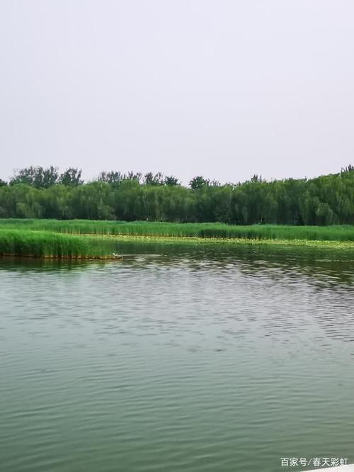 北京南海子公园图集
