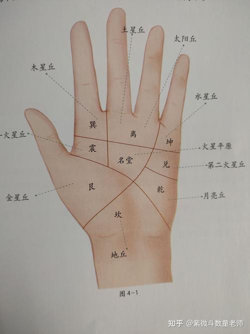 八卦在掌上区域与健康