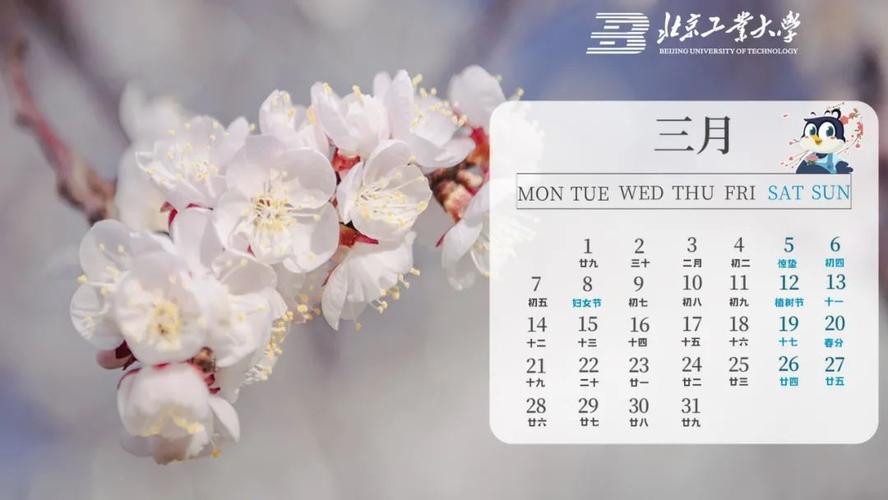 2022年专属日历上线北京工业大学陪你一整年