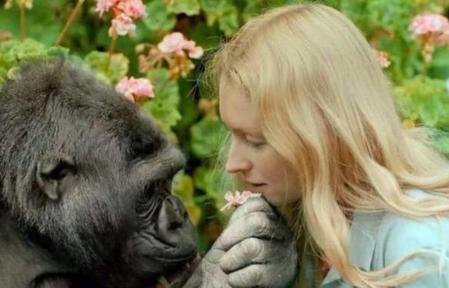 疯狂科学家,竟然想要人类和大猩猩杂交,以研究物种的起源