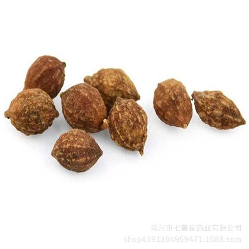 七善堂 中药材批发 精选 益智仁 调味香料 品质保证 一公斤散装