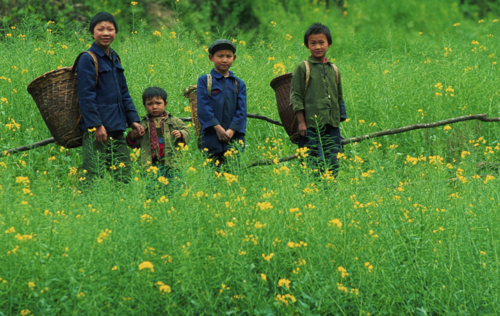 农村"超生游击队"们要注意了,开放二胎不意味着可以