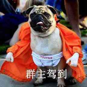 群主号头像图片大全