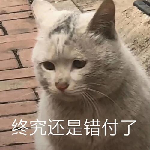 终究还是错付了错付终究还是表情