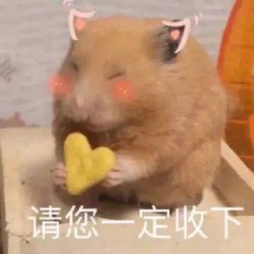表情包摸着你的良心说话