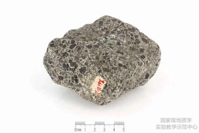 灰黑色煌斑岩
