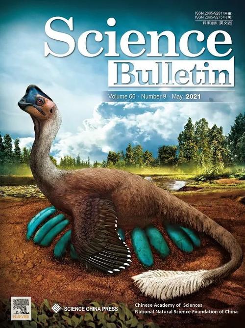sheds light on the reproductive biology of non-avialan theropod