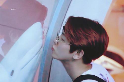 治愈瞬间——边伯贤与小动物的二三事