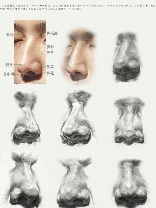 美术生:千万不要去做肋骨鼻【素描鼻子临摹】_美术生