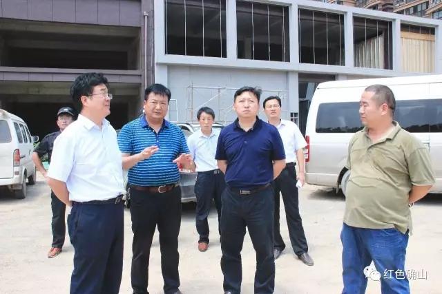 路耕:重拳出击, 持之以恒 将治污进行到底_确山县人民