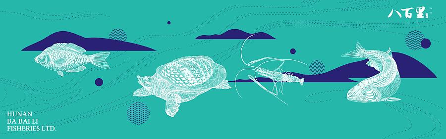 插画,鱼,虾,甲鱼,装饰类型插画