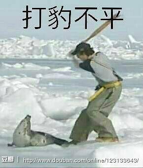 海豹表情包线上巡回收集展