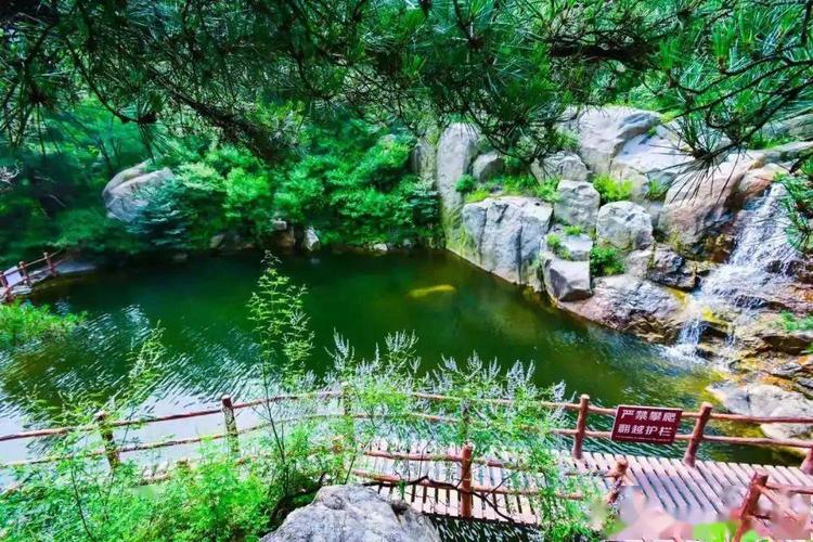 【小众线路】2021年8月22日驾游环山旅游公路-嬉水莱芜彩石溪-打卡网