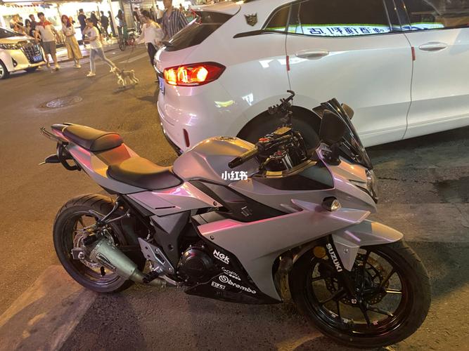 铃木gsx250r-a改色