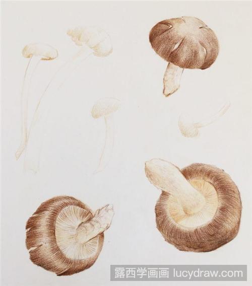 第六步:好咯,接下来第三支香菇,涂抹笔触开始打底画出明暗大结构