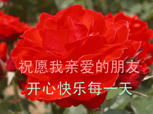 愿你我珍惜拥有,让友谊天长地久!