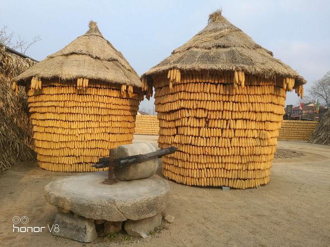 丰收的果实都进入粮仓