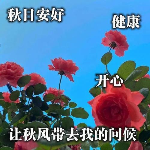 下午好动态表情图最新下午好问候语表情大全朋友们大家下午好问候图片